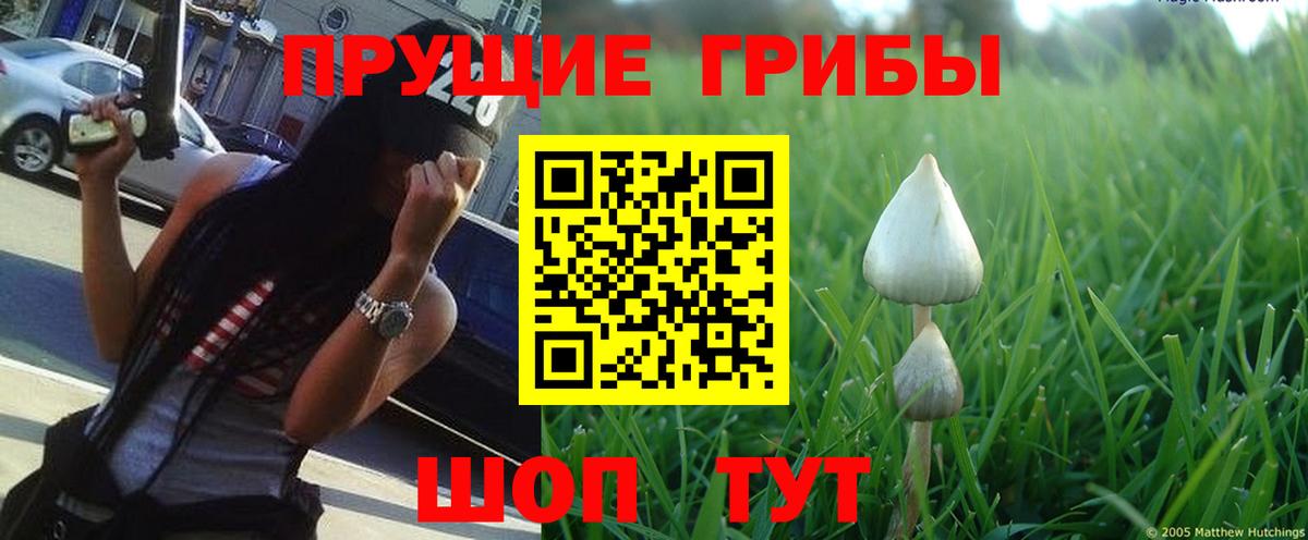 Псилоцибиновые грибы прущие грибы  Псилоцибиновые грибы ЛСД  Ханты-Мансийск  Вход с VPN 