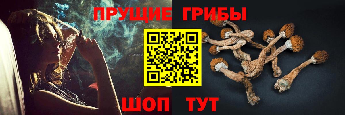 Псилоцибиновые грибы GOLDEN TEACHER Ханты-Мансийск